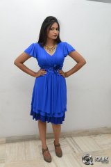 Swetaa Varma at Gang Of Gabbar Singh Movie Audio Launch